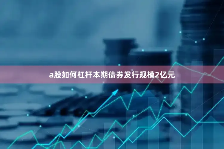a股如何杠杆本期债券发行规模2亿元