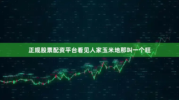 正规股票配资平台看见人家玉米地那叫一个旺